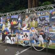 ヒメ日記 2025/02/20 10:02 投稿 のりこ 熟女の風俗最終章 宇都宮店