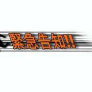 ヒメ日記 2024/11/11 09:15 投稿 にこ 若葉