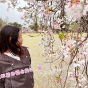 新奈あんず 春かな プレジデントクラブ