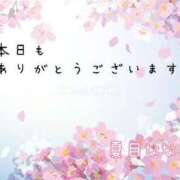 ヒメ日記 2024/03/17 17:15 投稿 夏目なな 五十路マダムエクスプレス豊橋店（カサブランカグループ）