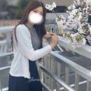 ヒメ日記 2025/04/06 14:27 投稿 ゆりの 東京人妻セレブリティ（ユメオト）