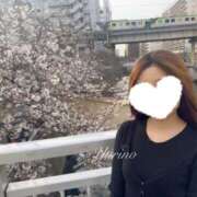 ヒメ日記 2025/04/21 06:30 投稿 ゆりの 東京人妻セレブリティ（ユメオト）