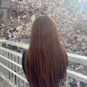 ヒメ日記 2025/04/29 14:11 投稿 ゆりの 東京人妻セレブリティ（ユメオト）