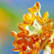 ヒメ日記 2025/10/23 23:57 投稿 まゆ clubさくら難波店