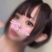 ヒメ日記 2025/04/24 15:52 投稿 あき 川越ぽちゃまに