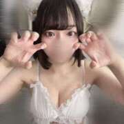 ヒメ日記 2025/07/27 13:07 投稿 うみ 深海魚