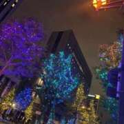 ヒメ日記 2025/10/04 23:01 投稿 あおい スパーク梅田店