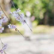 ヒメ日記 2025/05/26 16:59 投稿 ちはや 白いぽっちゃりさん五反田店