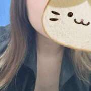 ヒメ日記 2025/02/24 18:33 投稿 れん 成田富里インターちゃんこ