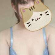 ヒメ日記 2025/04/24 20:28 投稿 れん 成田富里インターちゃんこ