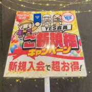 ヒメ日記 2025/11/15 18:59 投稿 向井なな YESグループ水戸　華女