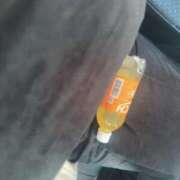 ヒメ日記 2025/07/26 17:15 投稿 ちょこ OKINI立川