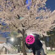 ヒメ日記 2025/04/08 19:30 投稿 りん クリステル