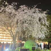 ヒメ日記 2026/03/31 19:05 投稿 りん クリステル