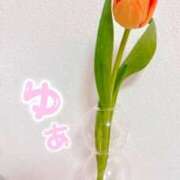 ヒメ日記 2025/05/23 01:26 投稿 ゆあ 金瓶梅-きんぺいぱい-