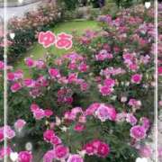 ヒメ日記 2025/06/21 01:24 投稿 ゆあ 金瓶梅-きんぺいぱい-