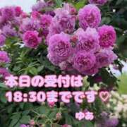 ヒメ日記 2025/07/06 08:15 投稿 ゆあ 金瓶梅-きんぺいぱい-