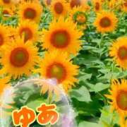 ヒメ日記 2025/09/01 23:56 投稿 ゆあ 金瓶梅-きんぺいぱい-