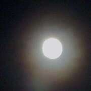 ヒメ日記 2025/09/06 22:22 投稿 ゆあ 金瓶梅-きんぺいぱい-