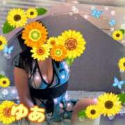 ヒメ日記 2025/09/08 11:21 投稿 ゆあ 金瓶梅-きんぺいぱい-