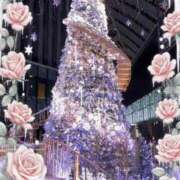 ゆあ はぴはぴ🌰いゔぅ〜🎄✨ 金瓶梅-きんぺいぱい-