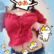 ヒメ日記 2026/02/22 00:00 投稿 ゆあ 金瓶梅-きんぺいぱい-