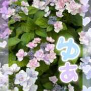 ヒメ日記 2026/06/15 12:56 投稿 ゆあ 金瓶梅-きんぺいぱい-