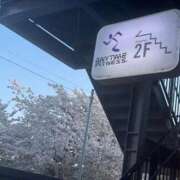 ヒメ日記 2025/04/09 06:17 投稿 和花【まどか】 輝女