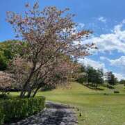 ヒメ日記 2025/05/02 16:48 投稿 和花【まどか】 輝女