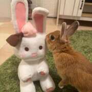 ヒメ日記 2025/06/12 00:20 投稿 和花【まどか】 輝女