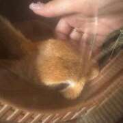 ヒメ日記 2025/09/21 13:11 投稿 和花【まどか】 輝女