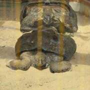 ヒメ日記 2025/11/02 16:18 投稿 和花【まどか】 輝女