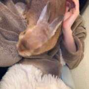 ヒメ日記 2026/02/16 00:18 投稿 和花【まどか】 輝女