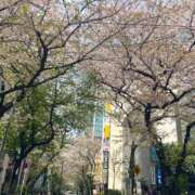 ヒメ日記 2026/04/09 08:44 投稿 和花【まどか】 輝女