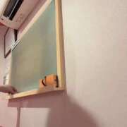 ヒメ日記 2025/12/07 10:02 投稿 さくら☆生粋の黒髪エロ美巨乳♪ 妹系イメージSOAP萌えフードル学園 大宮本校