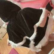 ヒメ日記 2025/12/27 08:05 投稿 さくら☆生粋の黒髪エロ美巨乳♪ 妹系イメージSOAP萌えフードル学園 大宮本校