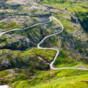 ヒメ日記 2025/10/31 14:06 投稿 山咲 ぼた薔薇Ⅱ