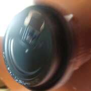 ヒメ日記 2025/12/23 16:00 投稿 山咲 ぼた薔薇Ⅱ