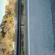 ヒメ日記 2026/01/21 17:34 投稿 山咲 ぼた薔薇Ⅱ