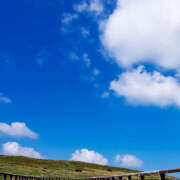 ヒメ日記 2026/03/05 13:54 投稿 山咲 ぼた薔薇Ⅱ