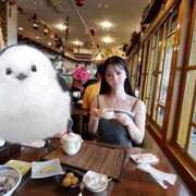 ヒメ日記 2025/09/08 06:48 投稿 ふう THE ESUTE 五反田店