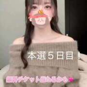 ヒメ日記 2025/11/22 12:30 投稿 ふう THE ESUTE 五反田店