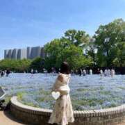 ヒメ日記 2025/05/03 12:26 投稿 おと The White