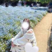 ヒメ日記 2025/05/10 10:01 投稿 おと The White