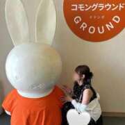 ヒメ日記 2025/06/20 00:36 投稿 おと The White