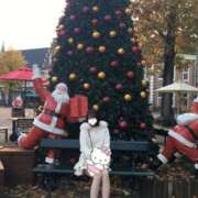 ヒメ日記 2025/11/22 13:08 投稿 おと The White