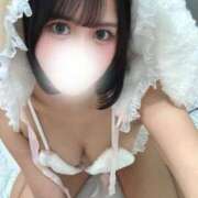 おと 11月ラスト😼✨ The White