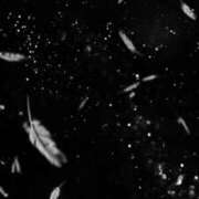 ヒメ日記 2025/02/05 15:05 投稿 ゆい 浜松人妻援護会