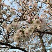 ヒメ日記 2025/04/12 19:17 投稿 ゆい 浜松人妻援護会