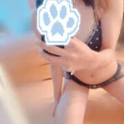 ヒメ日記 2025/11/07 07:23 投稿 りと 神田ハンドメイド